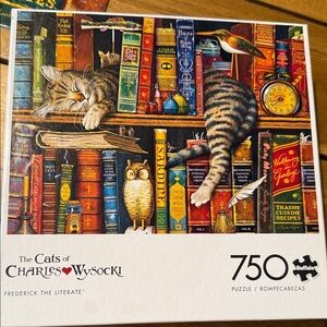 Cat & Book Puzzle - Vibrant colors
